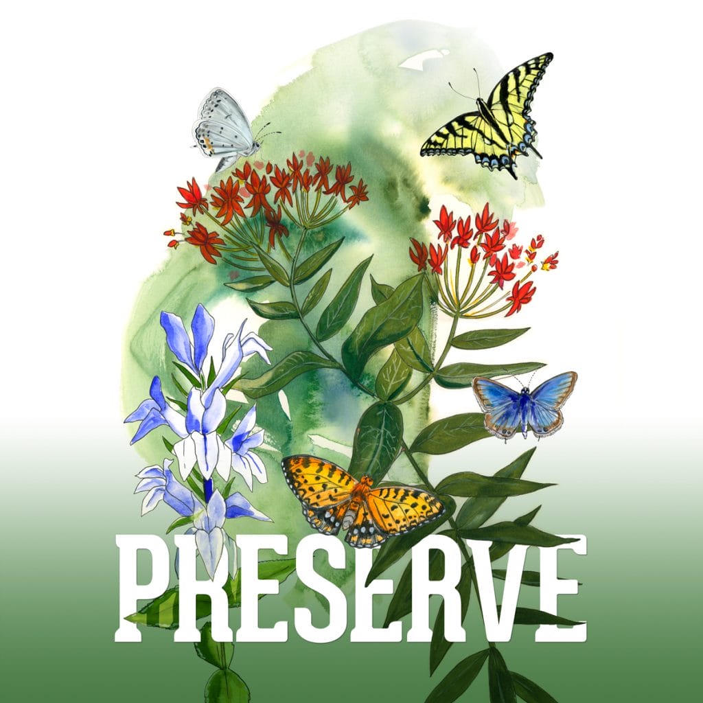 An image of pollinator species and various wildflowers, with the word PRESERVE 