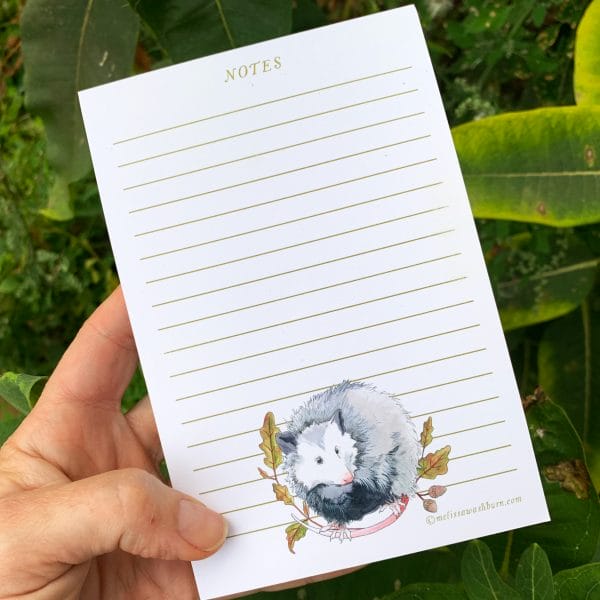 Recycled opossum notepad