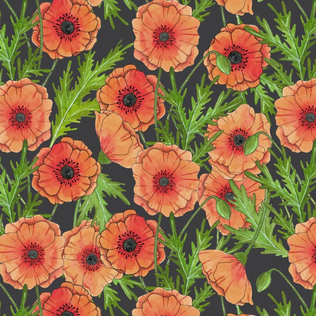 MelissaWashburn-pink-poppies-floral_square