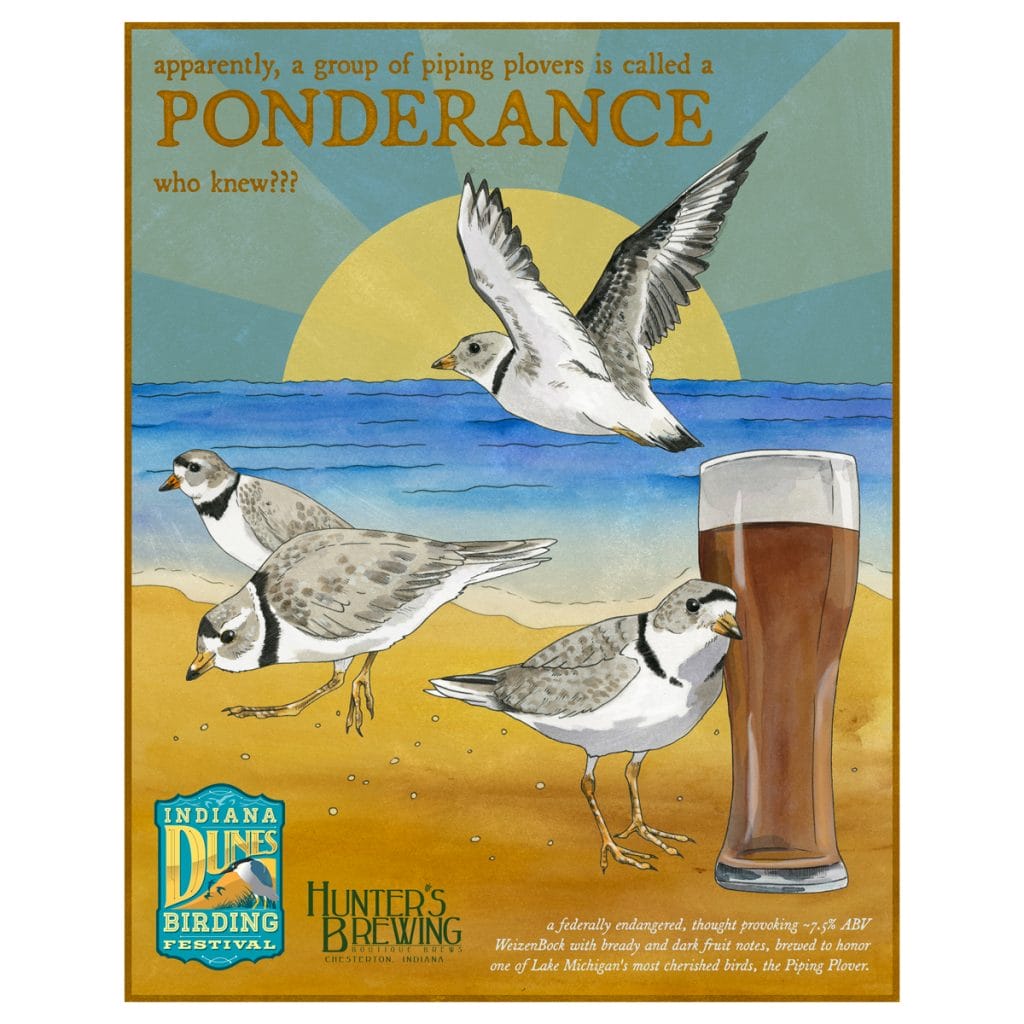 Illustrated poster for Indiana Dunes Birding Festival, showing several piping plovers and the festival's featured beer