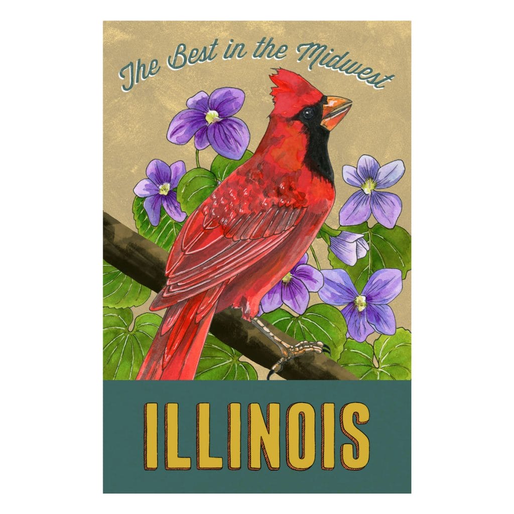 Illustration of a Northern cardinal and violets on a vintage-style state postcard for Illinois