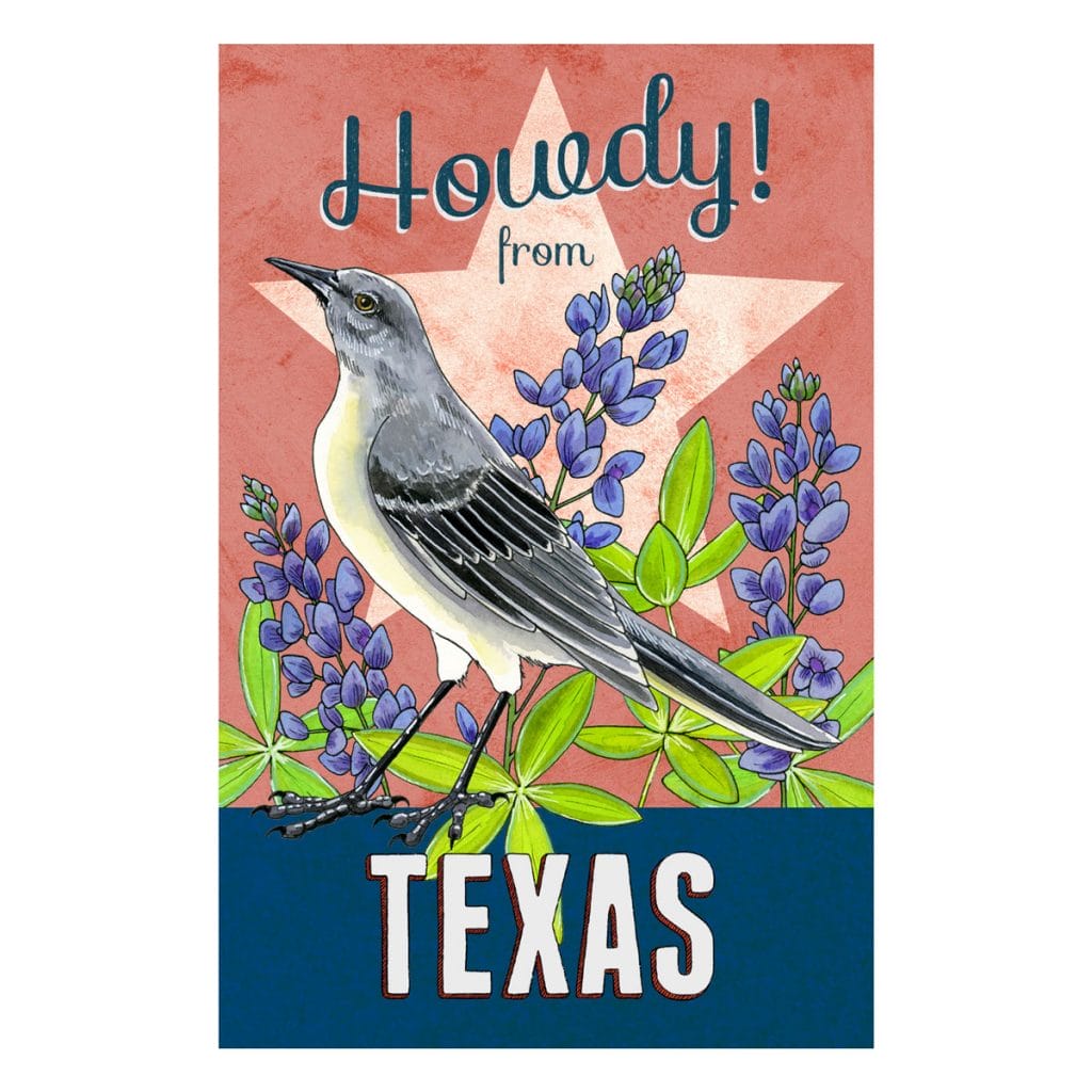 Illustration of a Northern mockingbird and bluebonnets on a vintage-style state postcard for Texas