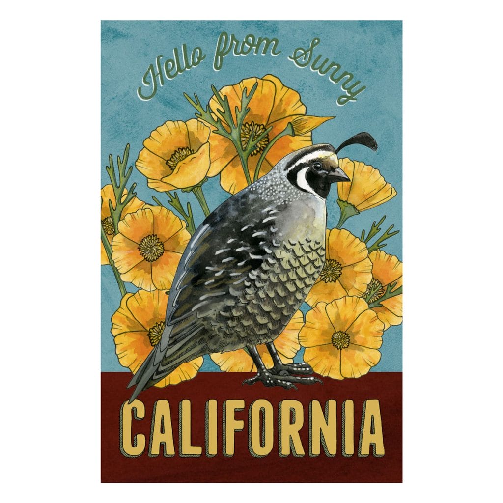 Illustration of a California quail and yellow California poppies with the words "Hello from Sunny California"